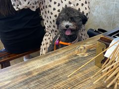 -晓靖轩烧烤(沙河风情店)