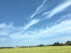-江西广播电视幼儿园早教中心