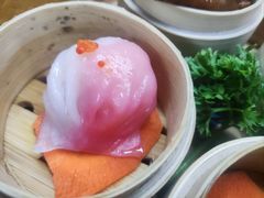 -广州都市观光巴士(粤陶巴)