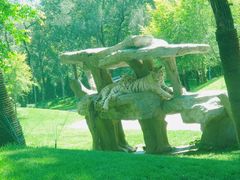 -北京野生动物园