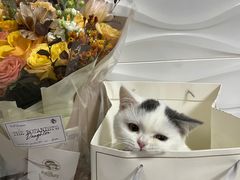 -植物学家的女儿(北马道巷店)