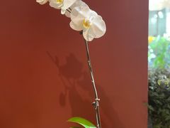 -二酉书店TOYOU BOOKS