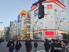 -秋叶原电器街