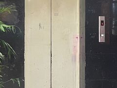 -芙蓉凰花园酒楼
