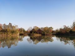 -泗洪洪泽湖湿地景区