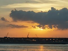 -宝安西湾红树林湿地公园