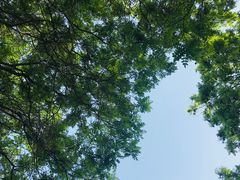 -雁滩公园