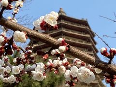-玲珑塔公园