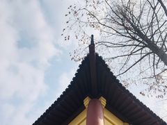 -T80科技文化国际社区-停车场