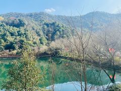 -桃花岭景区