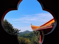 -深圳仙湖植物园