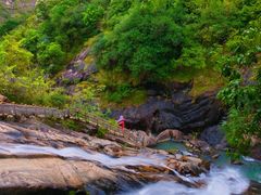 -广州白江湖森林公园