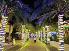 -三亚海昌梦幻海洋不夜城