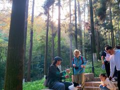 -莫干山风景区