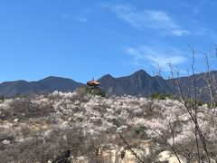 -白水寺森林公园
