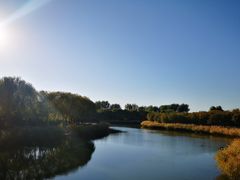 -大兴滨河森林公园