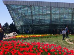 -石家庄市植物园