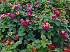 -杭州电子科技大学(下沙校区)
