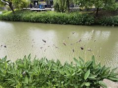 -嘉北郊野公园