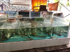 水产区-鹿福农庄(南沙天后宫店)