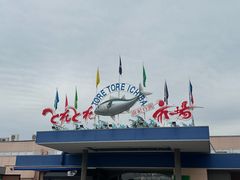 -南纪白浜Toretore市场