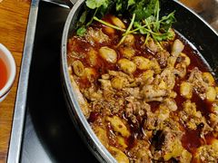 -绝城芋儿鸡(犀浦旗舰店)