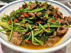 -壹盏灯(惠农店)