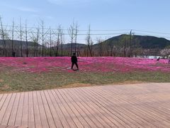 -羊亭河湿地公园