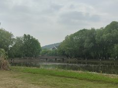 -长广溪湿地公园