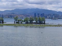 -洱海月湿地公园