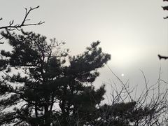 -神憩宾馆-餐厅