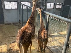 -济南野生动物世界