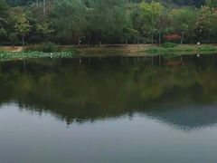 -石塘人家