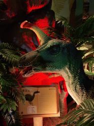 -恐龙探索乐园(磁器口店)