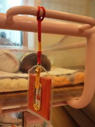 -复旦大学附属妇产科医院(杨浦院区)
