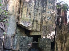 -铁山坪森林公园