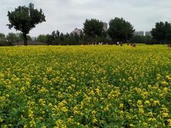 -长白岛森林公园