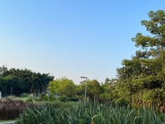 -厦门园林博览苑