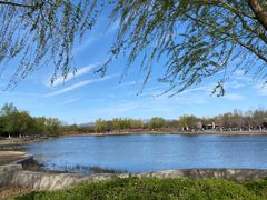 -永定河休闲森林公园