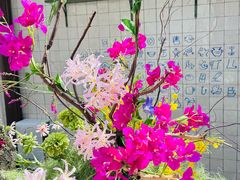 -沛家·西餐Brunch·直火料理