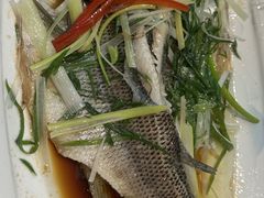清蒸鲈鱼-粤香楼(新光里店)