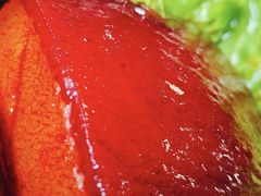 -浦江餐饮•上海菜馆(五四路店)