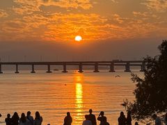 -宝安西湾红树林湿地公园