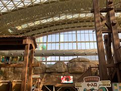 -杭州开元森泊度假乐园