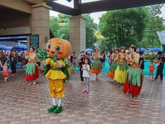 -苏州乐园森林水世界