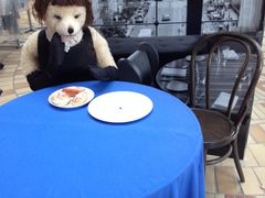 iphone_upload_pic-济州岛泰迪熊博物馆