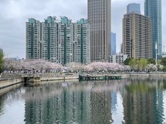 -西北湖绿化广场