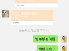 -宝鸡东道花鸟鱼虫市场(吉利花园商场店)