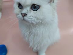 -1013 PET SHOP 宠物商店(近铁城市广场店)