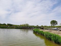 -西青郊野公园